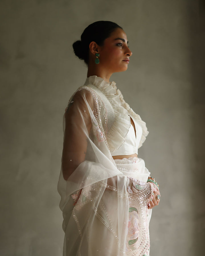 MOONDUST SILK ORGANZA SAREE SET (ZHR SR 08)