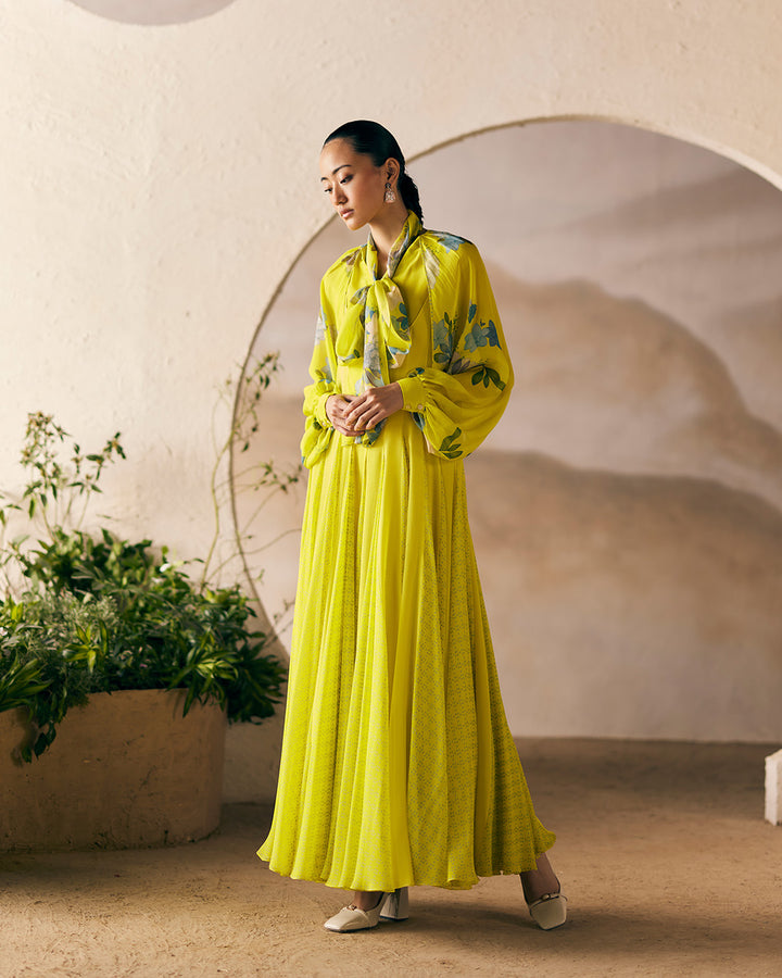 LIKIR LILY SHIRT WITH ANARKALI (MSP 23)