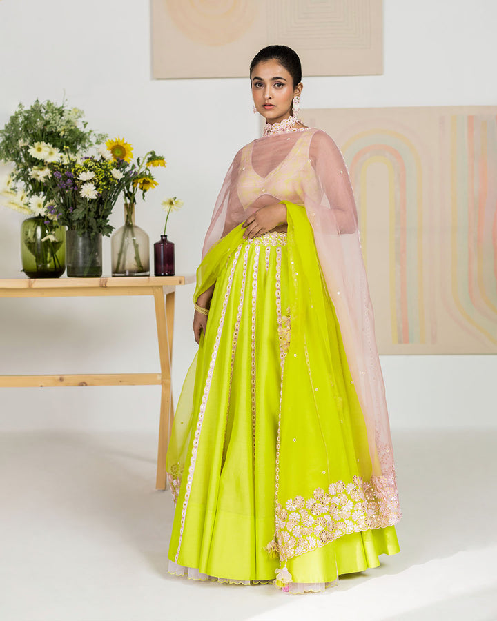 Spring Green Lehenga Set (JNPL 08)