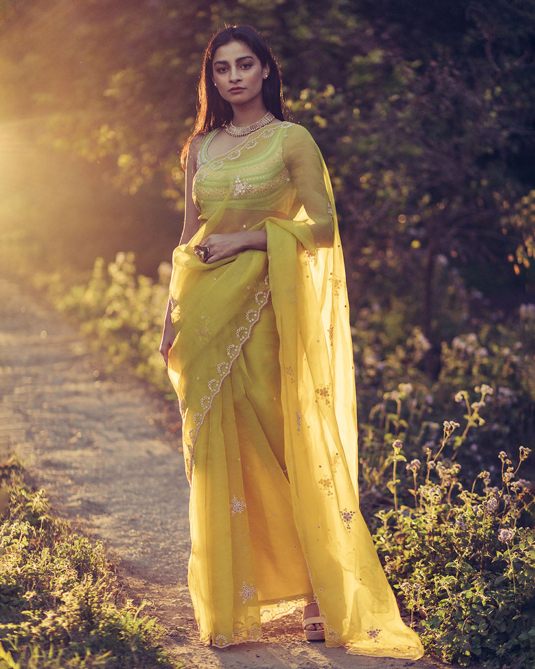 Hand Embroidered Saree (SWSR03)