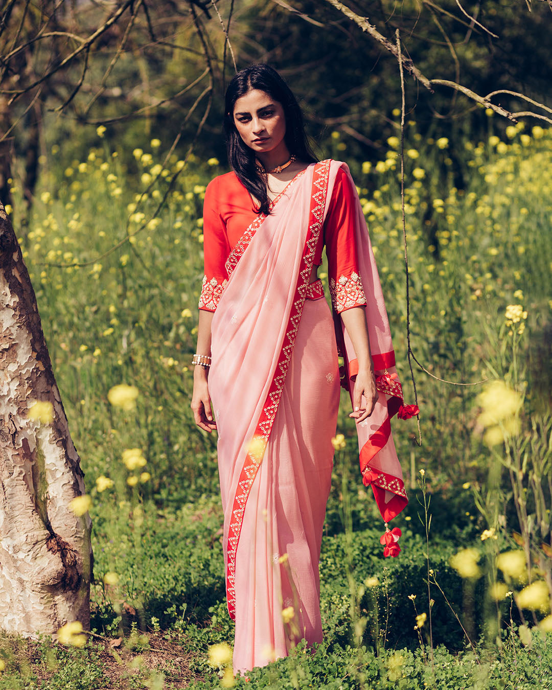 Hand Embroidered Saree (SWSR01)