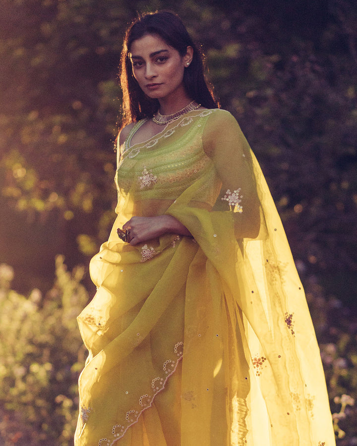 Hand Embroidered Saree (SWSR03)