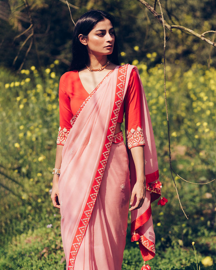Hand Embroidered Saree (SWSR01)