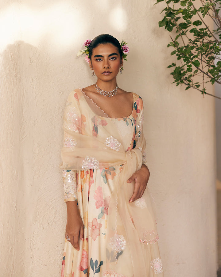 PRIM ROSE ANARKALI SET