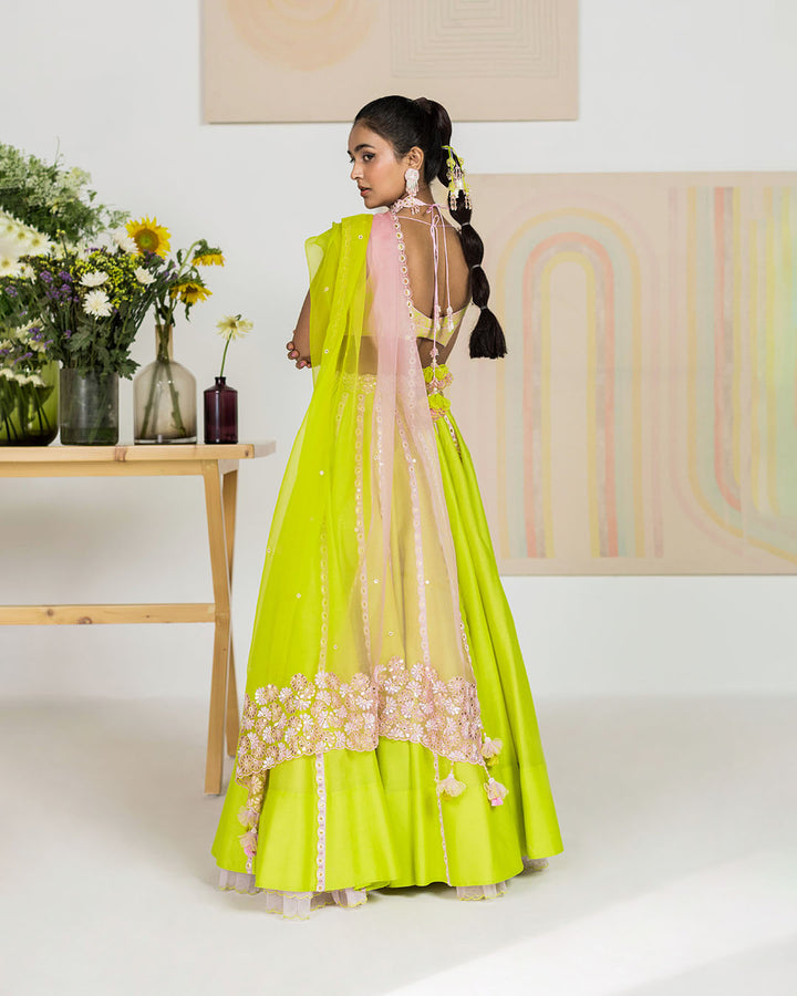 Spring Green Lehenga Set (JNPL 08)