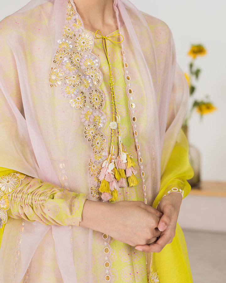 Spring Green Swirl Anarkali Set (JNPL01)