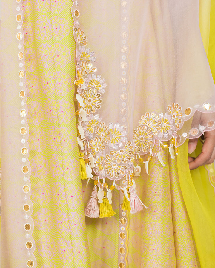 Spring Green Swirl Anarkali Set (JNPL01)