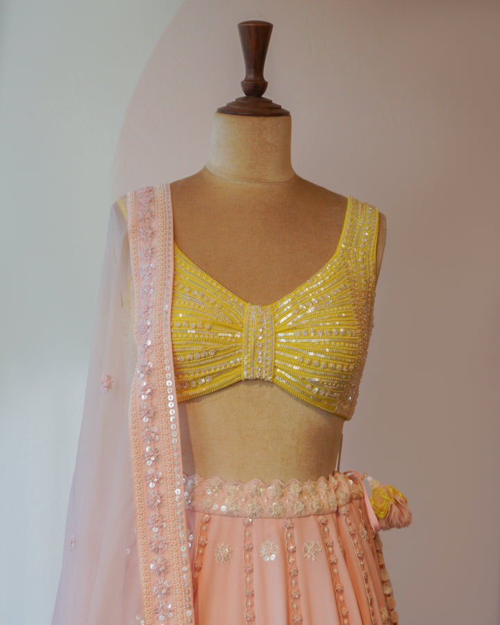 Light Pink & Spring Green Hand Embroidered Silk Lehenga Set