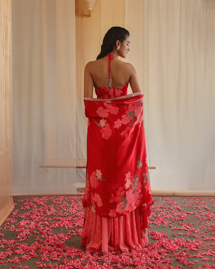 Rosette Cape Seta ( MSP 34 )