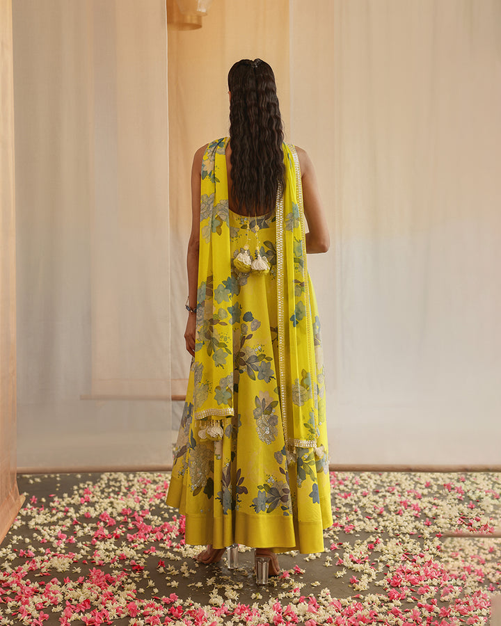 golden meadow anarkali set ( MSP 35 )