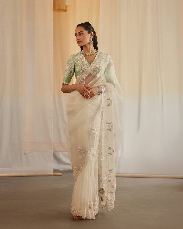moon dust silk organza sari set