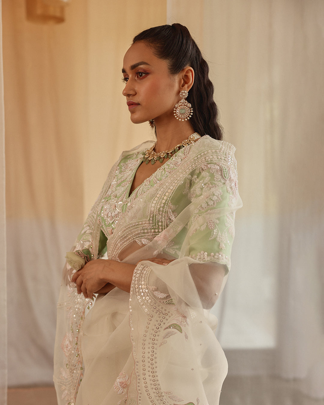 moon dust silk organza sari set