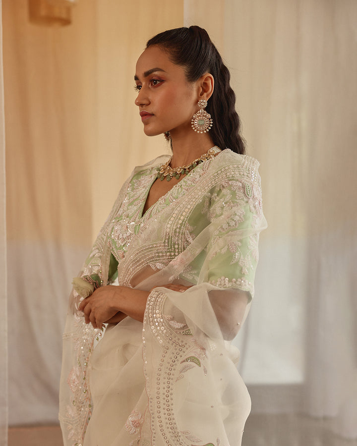 moon dust silk organza sari set