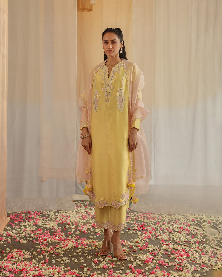 the butter cup kurta set ( zhr 13 )