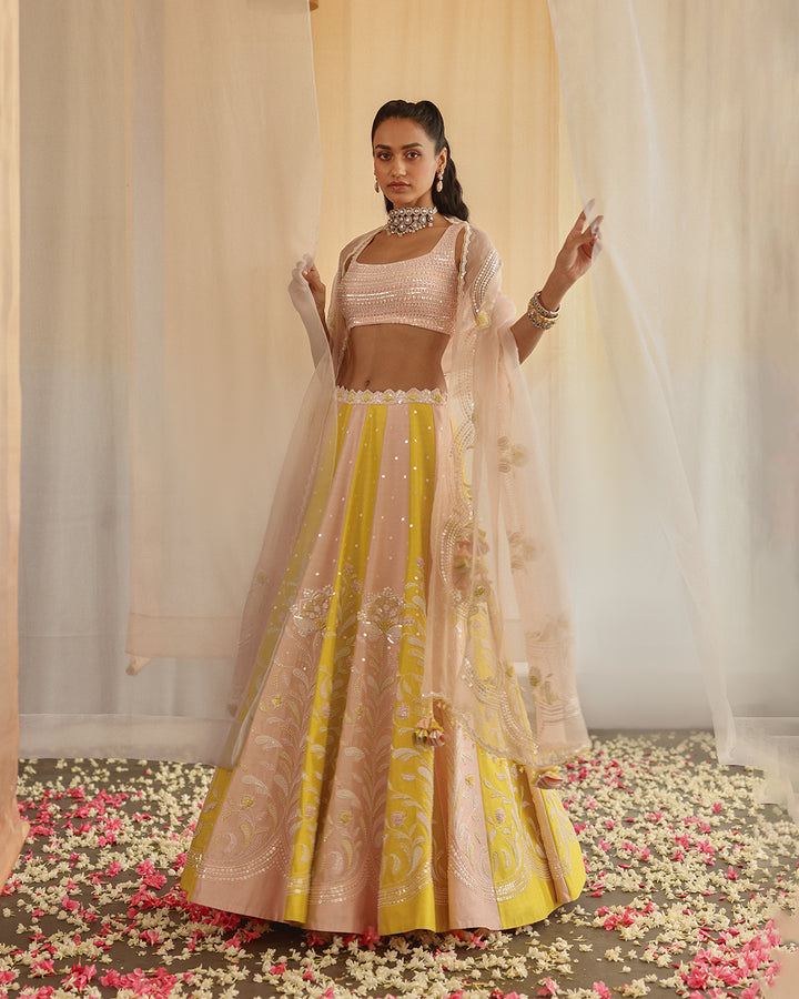 Dahlia lehenga set ( zhr 11 )